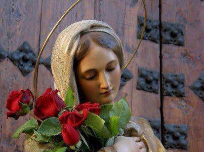 Maria trandafiri