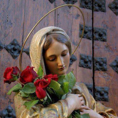Maria trandafiri